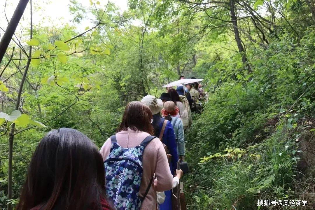 E星体育官方网站大学生学习茶艺热潮E星体育官网方兴未艾(图2)