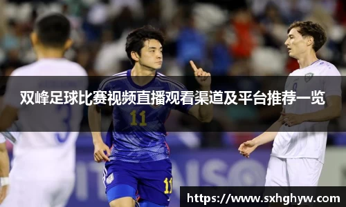 双峰足球比赛视频直播观看渠道及平台推荐一览
