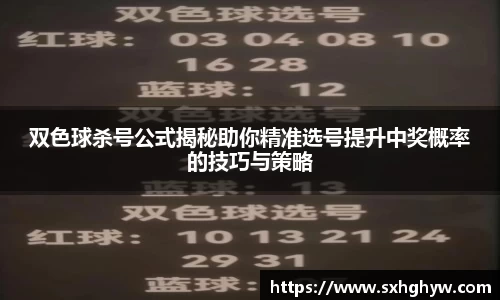 双色球杀号公式揭秘助你精准选号提升中奖概率的技巧与策略